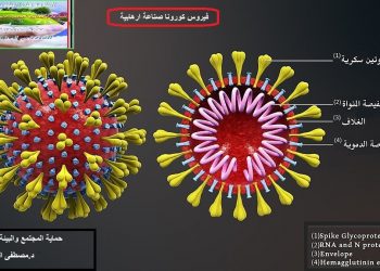 اهزم فيروس كورونا المستجد بمعرفة خطط هجومه عليك