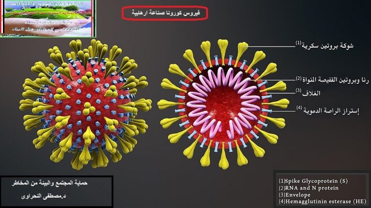 اهزم فيروس كورونا المستجد بمعرفة خطط هجومه عليك
