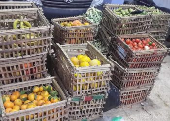 حزب مستقبل وطن أمانة قسم الهرم يُقدم مساعدات عينية للفقراء والمحتاجين