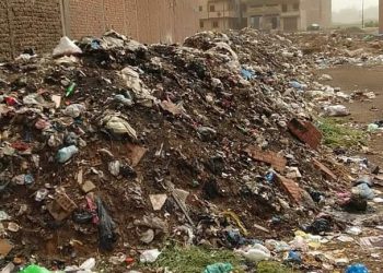 ناصر عمار: رفع 70 طن قمامة من جوار مقابر الجعفرية بالسنطه