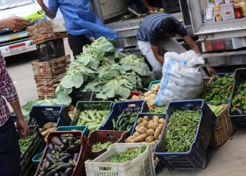 “الزراعة” تدفع بمنافذ متنقلة لبيع منتجاتها بأسعار مخفضة بالمحافظات المختلفة