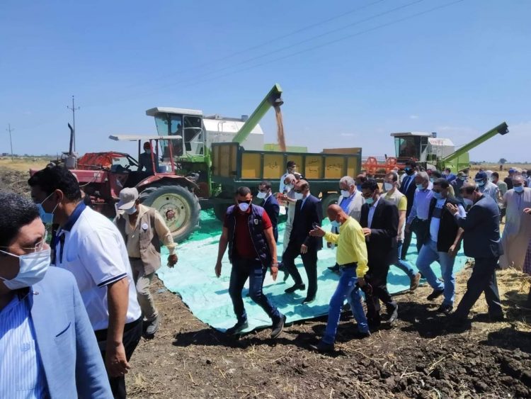وزير الزراعة ومحافظ كفر الشيخ يشهدا حصاد القمح بمزرعة القرضا ويتفقدان مزرعة معهد بحوث الإنتاج الحيواني