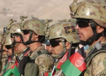 أفغانستان: طالبان تعلن عن هدنة مدة عيد الفطر