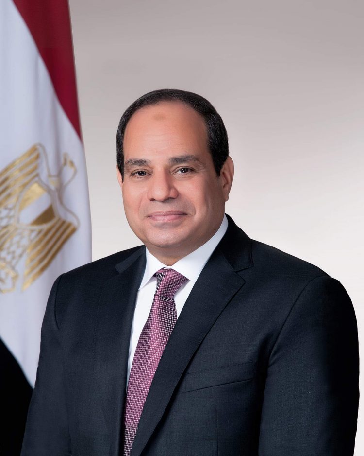 الرئيس السيسي يشارك عبر وسائل الاتصال الإليكترونية في القمة العالمية للقاحات 1 الرئيس السيسي يشارك عبر وسائل الاتصال الإليكترونية في القمة العالمية للقاحات