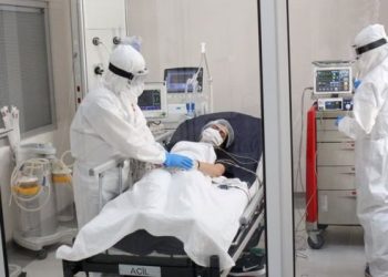 دراسة بريطانية: هناك نسخ مختلفة من فيروس كورونا