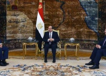 المجلس الأوروبي: المصريون بالخارج يؤيدون مبادرة “إعلان القاهرة ” لوقف الاقتتال الليبي