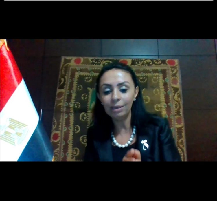 مايا مرسي تطالب بميثاق شرف أخلاقى بمراكز الشباب للتصدى لظاهرة التحرش الجنسي 1 مايا مرسي تطالب بميثاق شرف أخلاقى بمراكز الشباب للتصدى لظاهرة التحرش الجنسي