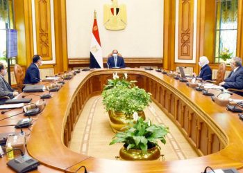 الرئيس يُوجه باستكمال كافة الجوانب العلمية والفنية الخاصة بمشروع الاكتفاء الذاتي من مشتقات البلازما