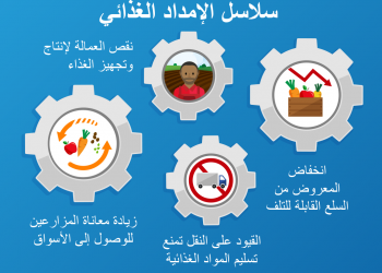 صقر: الاكتفاء الذاتي والتحول الرقمي من أهم دروس جائحة كورونا