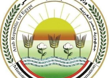الزراعة: ارتفاع صادرات مصر الزراعية لـ أكثر من 3.6 مليون طن والموالح في المركز الأول