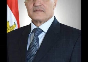 مستشار المجلس الأوروبي المصري ببروكسيل : وداعا الفريق العصار مهندس الدولة المصرية