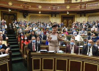 عبد الحميد: الجاليات المصرية بالخارج تُرَّحب بإقرار البرلمان للجيش بالقتال خارج الحدود