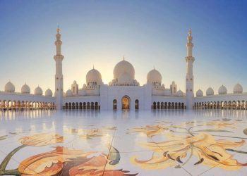 السماح للقطة جلي بالبقاء فى آيا صوفيا