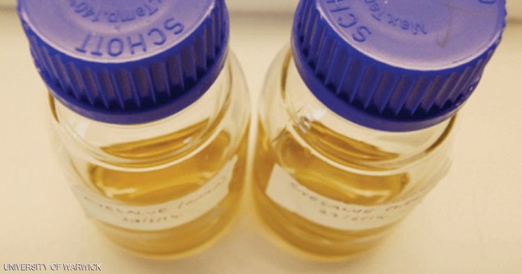 علاج من القرون الوسطى قد يحل معضلة «المضادات الحيوية» 1 علاج من القرون الوسطى قد يحل معضلة «المضادات الحيوية»