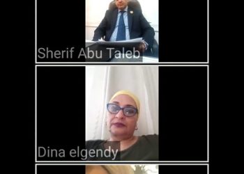 أعضاء لجنة المشاركة السياسية بقومي المرأة ينتجون فيديوهات تحمل رسائل توعوية بالانتخابات القادمة