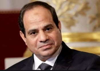 الرئيس عبد الفتاح السيسي يعتمد 6 سفراء جدد