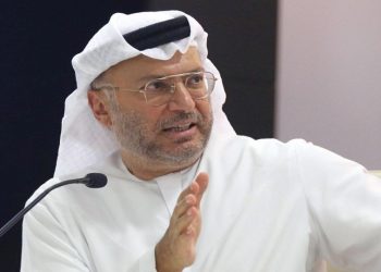 الإمارات تدعوا أنقرة إلى الكف عن التدخل فى الشأن العربي