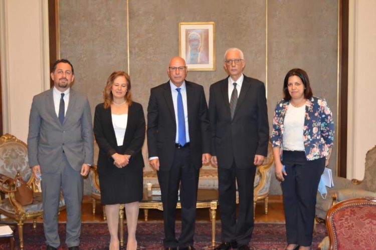 بعثة من الجامعة العربية لمتابعة انتخابات مجلس الشيوخ