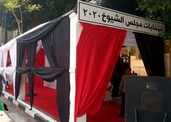 د. محمود صقر رئيس أكاديمية البحث العلمي يدلي بصوته في انتخابات مجلس الشيوخ