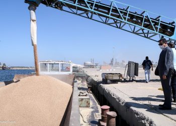 للمرة لثانية نقل شحنة من القمح إلى صومعة إمبابة قادمة من دمياط عبر نهر النيل