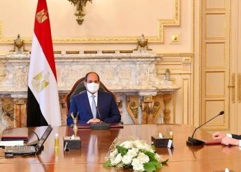 الرئيس يلتقي مدير شركة لورنس الألمانية الرائدة  فى صناعة السفن والفرقاطات والمدمرات