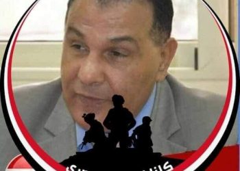 مستشار المجلس الأوروبي المصري ببروكسيل 20 سبتمبر باطل والدعم للدولة المصرية