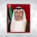 وزير الخارجية الإماراتي يبحث هاتفيا مع سامح شكري الأوضاع بمنطقة شرق البحر المتوسط