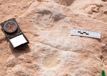 اكتشاف آثار أقدام تعود إلى 120 ألف عام في السعودية