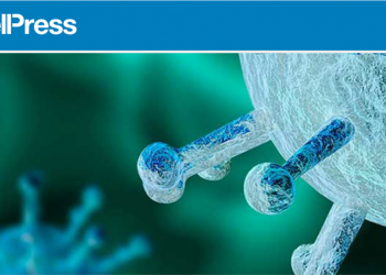 دراسة علمية تكشف أسباب تباين حدة أعراض الإصابة بكورونا