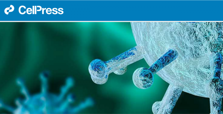 دراسة علمية تكشف أسباب تباين حدة أعراض الإصابة بكورونا 1 دراسة علمية تكشف أسباب تباين حدة أعراض الإصابة بكورونا