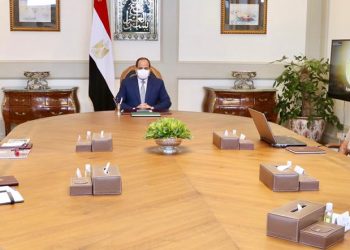 السيسي يوجه باستعادة الإرث المصري في تربية وإنتاج الخيول العربية وإحياء أنشطتها المصاحبة