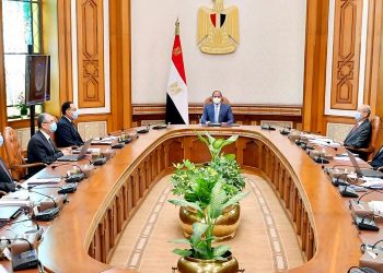 الرئيس يُوجه بزيادة الرقعة الزراعية المنتجة والمجتمعات العمرانية الحديثة في سيناء وجنوب الوادي
