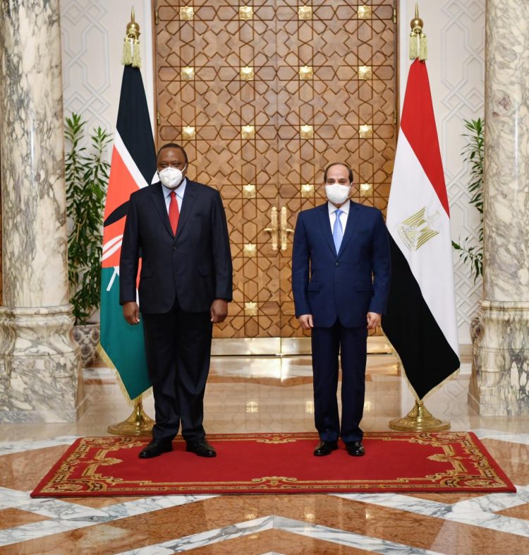 السيسي وكينياتا يتباحثان حول المصالح المشتركة وتطورات سد النهضة