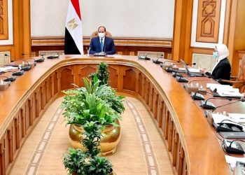 السيسي يوجه بتصنيع مشتقات البلازما على أعلى مستوى من المعايير العالمية 2 السيسي يوجه بتصنيع مشتقات البلازما على أعلى مستوى من المعايير العالمية