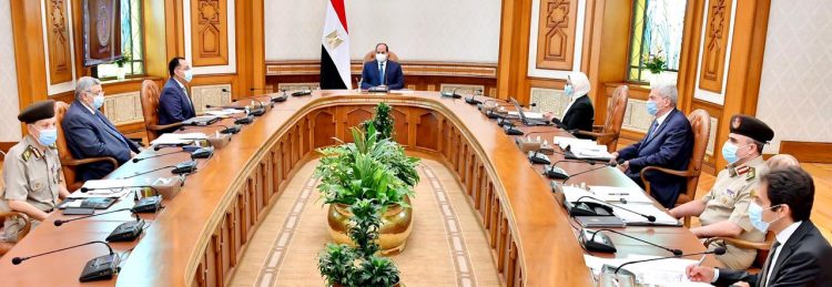 السيسي يوجه بتصنيع مشتقات البلازما على أعلى مستوى من المعايير العالمية