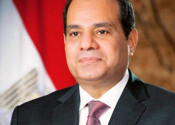 الرئيس السيسي: لا يمكن تحميل المسلمين مفاسد وشرور فئة منحرفة