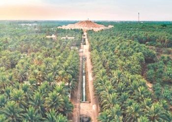 جينيس تعلن تسجيل الأحساء أكبر واحة نخيل في العالم