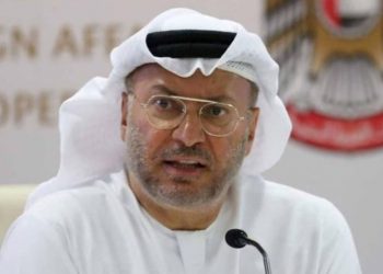 أنور قرقاش: الجيش التركي في قطر عنصر عدم إستقرار في منطقتنا