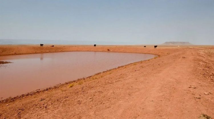 الأمم المتحدة: التغير المناخي السبب الرئيسي لتضاعف الكوارث الطبيعية منذ 20 عاما