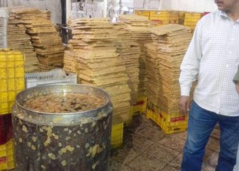 دار الإفتاء تُحرِّم إنشاء مصانع “بير السلم”