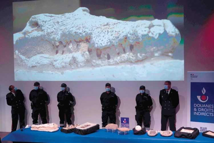 فرنسا تسلّم المغرب نحو 25 ألف قطعة أثرية منهوبة