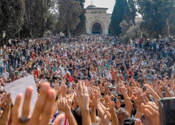 عشرات الألآف يحتجون على تصريحات ماكرون