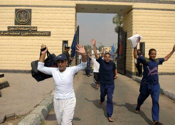 د. نجلاء الورداني تكتب عن: مرحلة ما بعد خروج المسجون