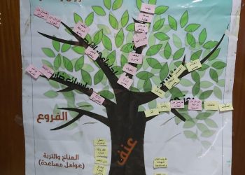 دور مقدمي الخدمات الصحية بالمستشفيات الجامعية فى التعامل مع المرأة المعنفة