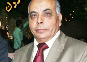 د. رفعت الحنفى شكرا