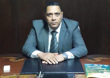 حمدي شهاب: الشعب المصري صانع الإنجاز مع الرئيس السيسي وهو مصدر السلطات