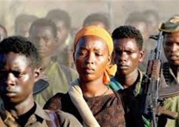 مصادر عسكرية: مصرع مئات في القتال الدائر بإقليم تيجراي الإثيوبيي