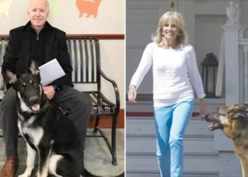 انتخاب بايدن يعيد للبيت الأبيض حيوانا أليفا غاب عنه سنوات