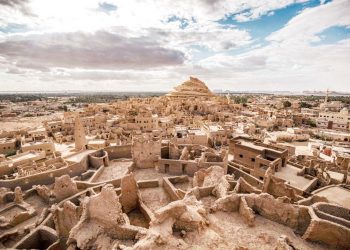 الذكاء الاصطناعي يحاول حل مشكلة المرور في مدينة لوس أنجلوس