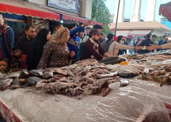 بورسعيد: إقبال كبير علي سوق الأسماك الجديد 